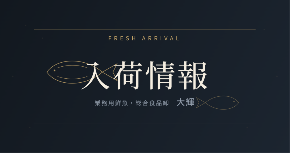 【大阪の飲食店様へ】本日の厳選仕入れ4選｜天然インドマグロ・岩牡蠣・ケンサキイカ・大阪産マナガツオ